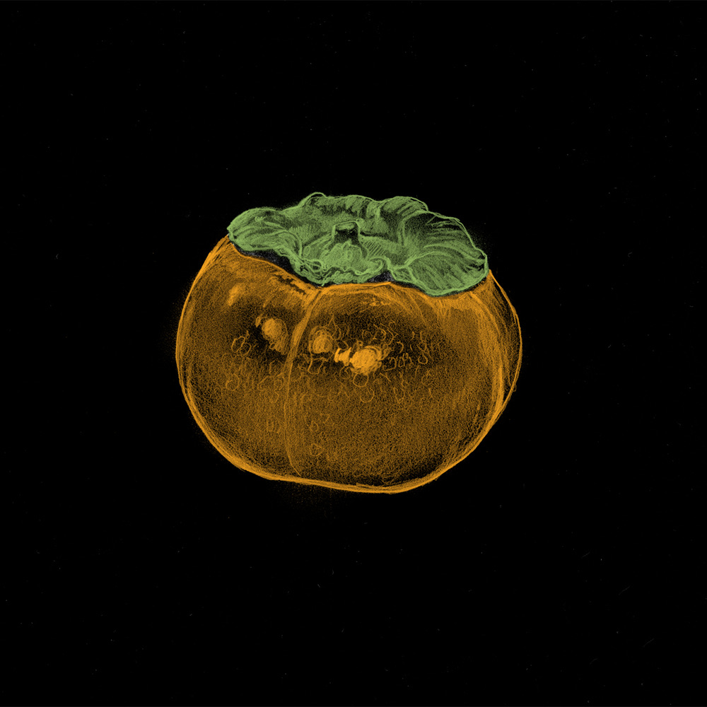 Food Colors — image 2