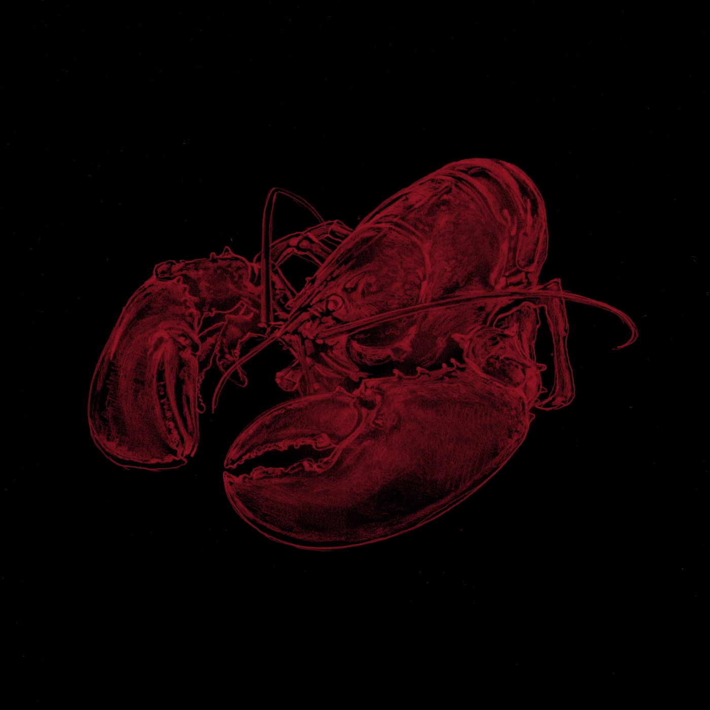 Food Colors — image 4