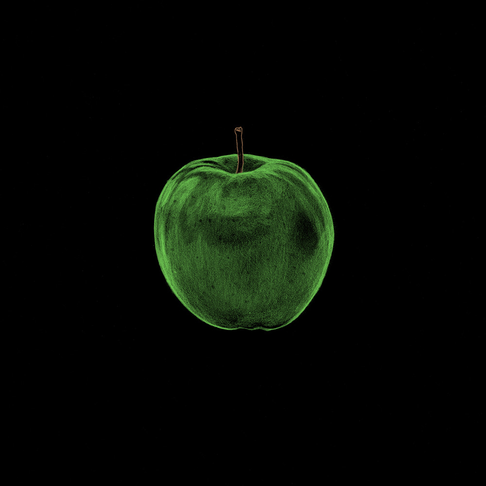 Food Colors — image 11