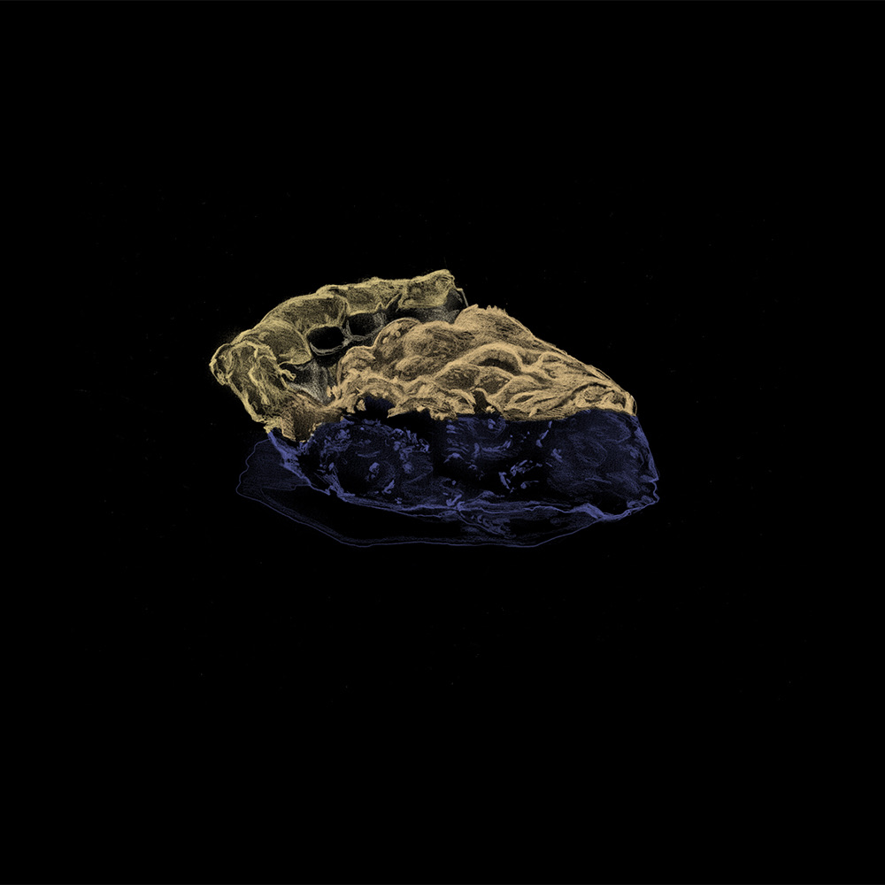 Food Colors — image 14