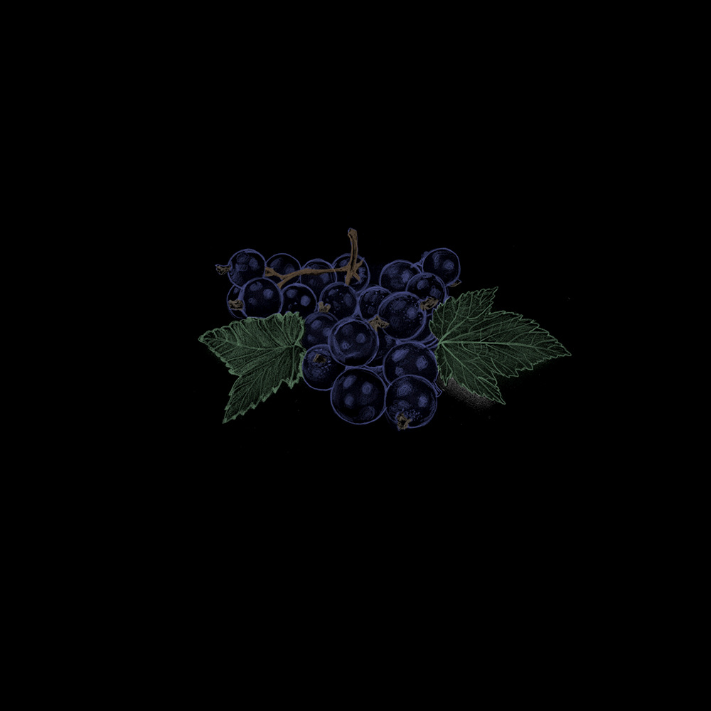 Food Colors — image 13