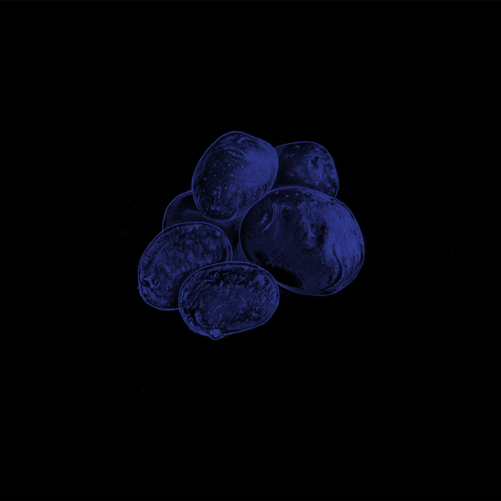 Food Colors — image 15